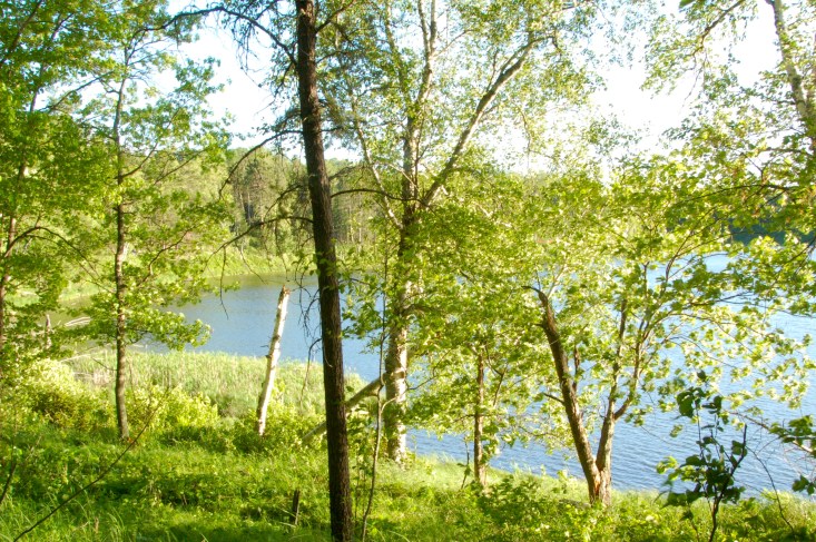 The Golden Hour at Bukkesjøen