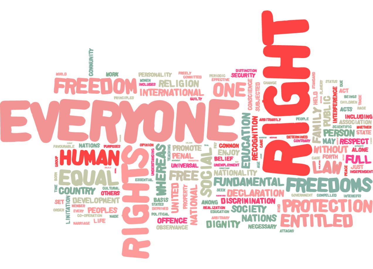Human Rights Download Activities for Human Rights Day 2015 – The Human Rights Warrior
